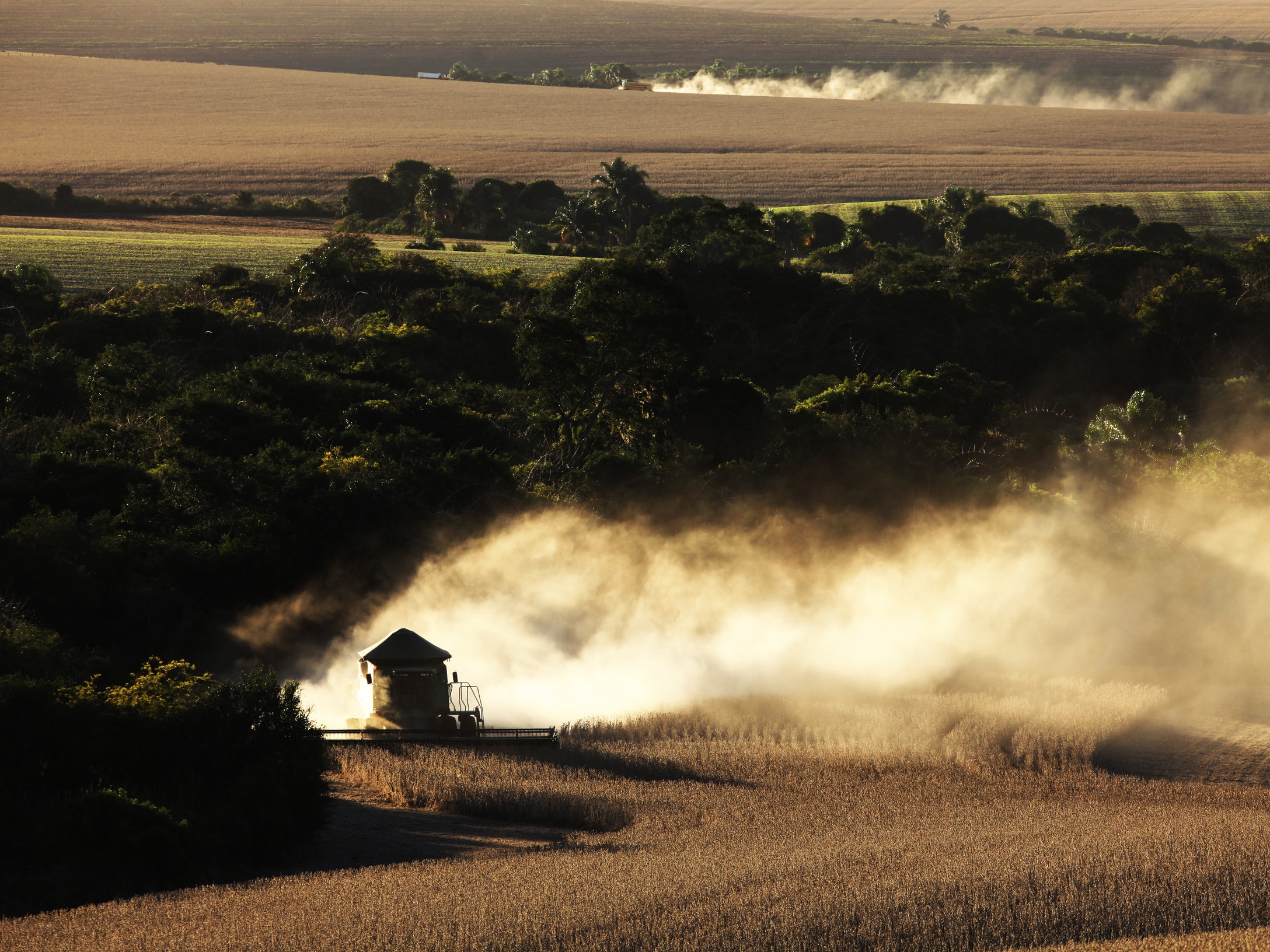Ministério da Agricultura, Pecuária e Abastecimento abre processo seletivo para cargo de Coordenador-Geral com previsão de DAS 4
