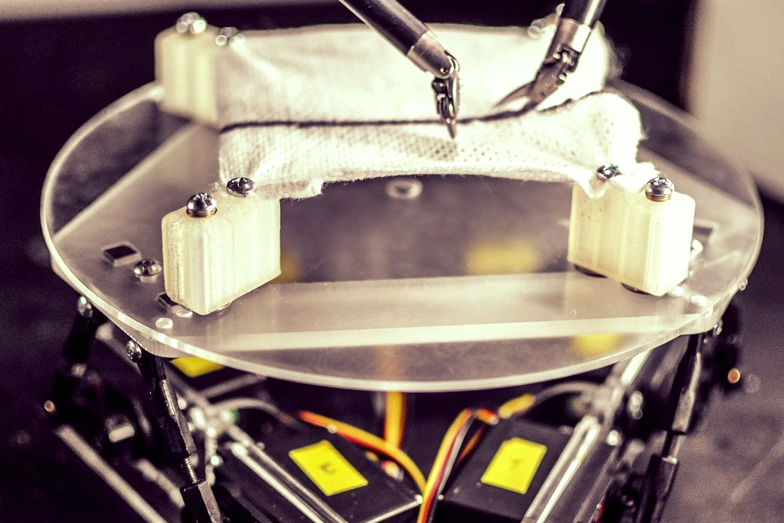 Seleção aberta no Ministério da Ciência busca atrair 3 EPPGGs para a Secretaria de Desenvolvimento Tecnológico e Inovação