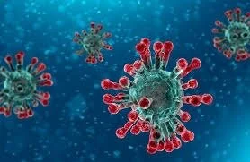 Coronavírus: ANESP pressiona governo para proteger servidores