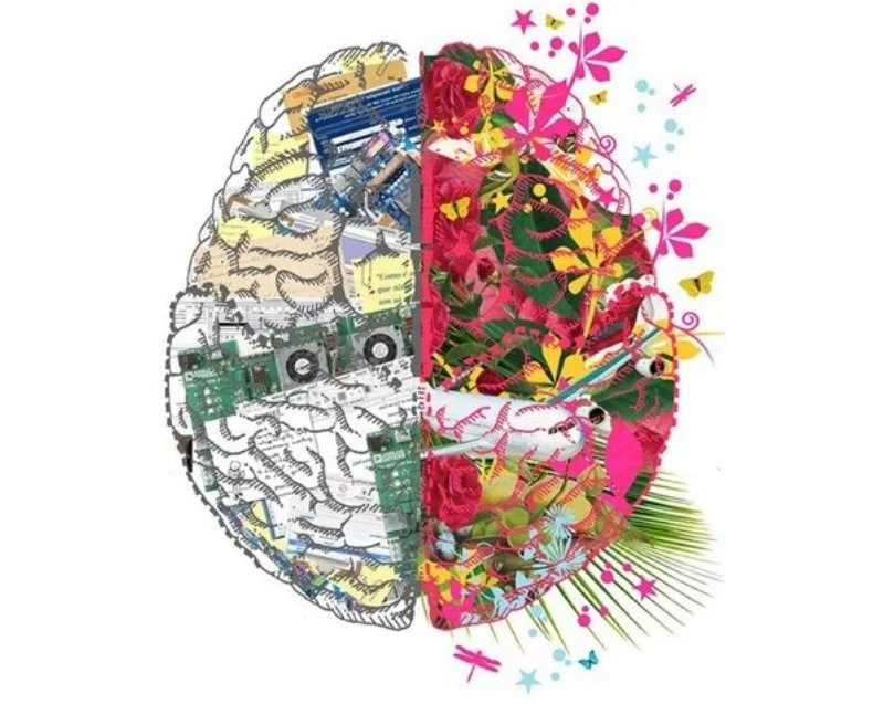 Política de RH da ANESP: conheça