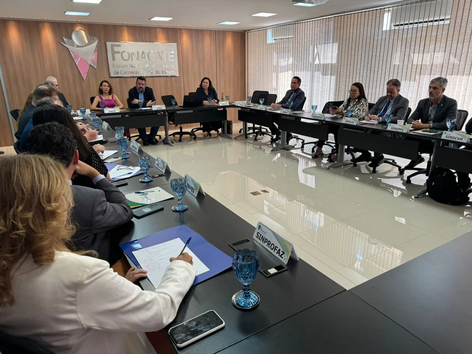 Assembleia do Fonacate: ANESP avalia andamento das mesas específicas de negociação