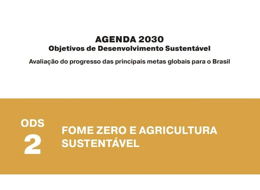 Ipea lança série sobre Objetivos de Desenvolvimento Sustentável da ONU; EPPGGs são autores