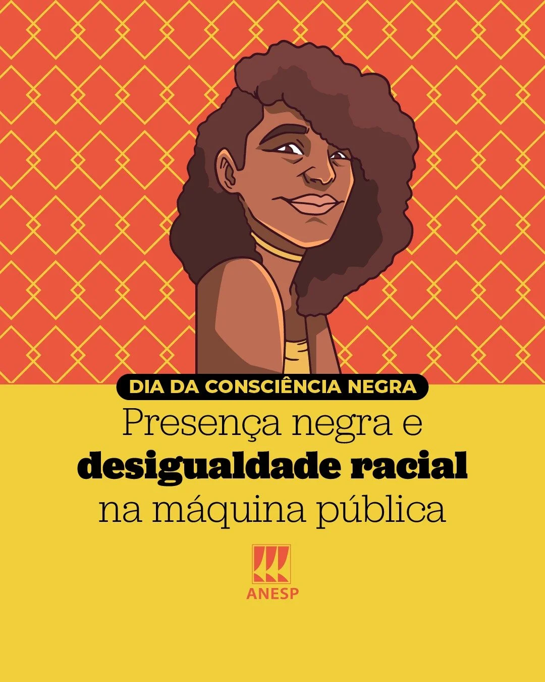 Desigualdade racial persiste na administração pública brasileira