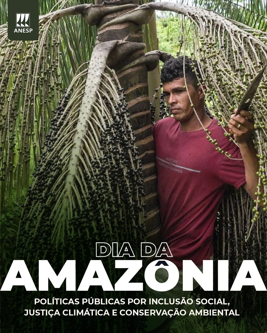 Dia da Amazônia: políticas públicas por justiça social e conservação ambiental