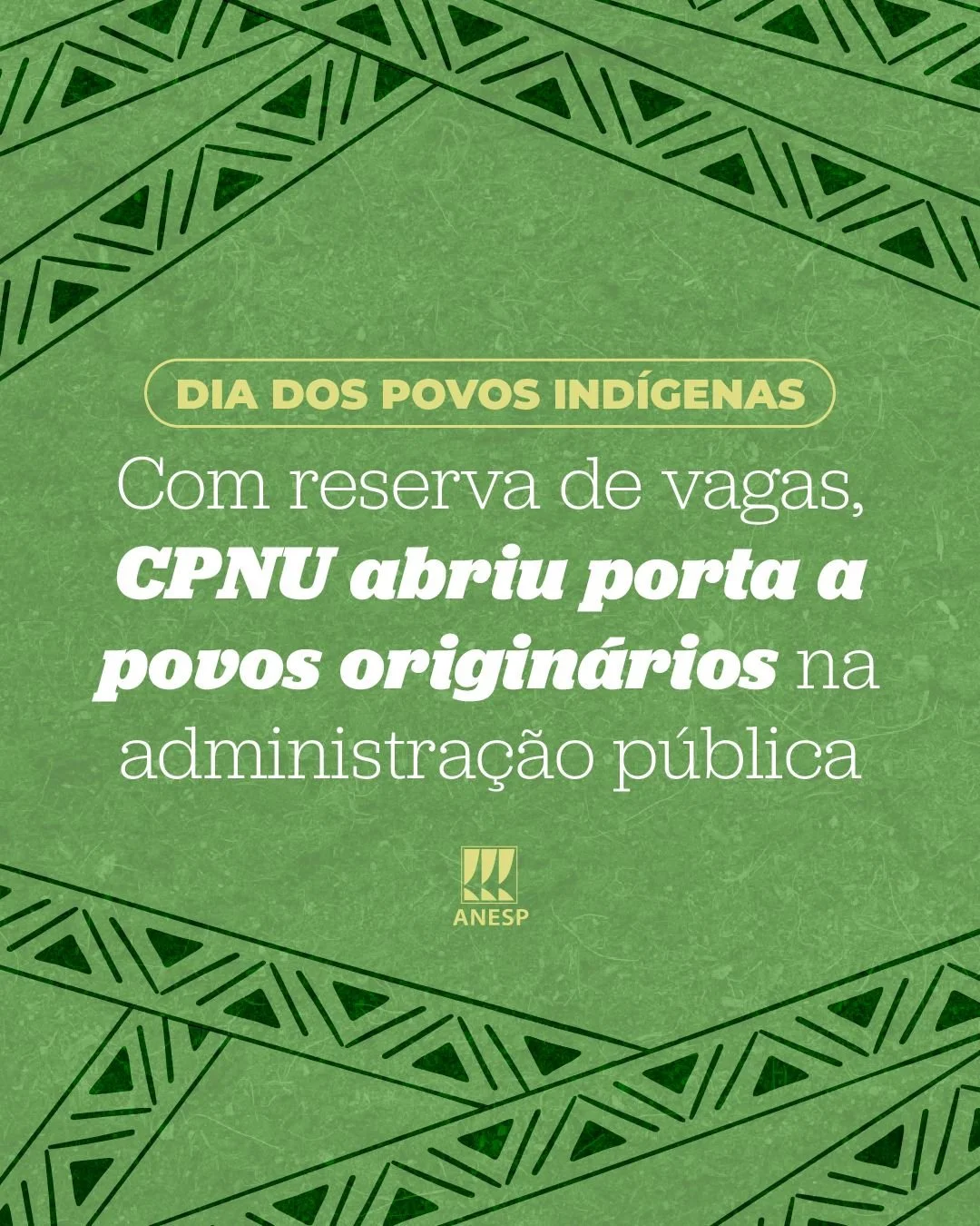19 de abril: com reserva de vagas, CPNU abriu porta a povos originários na administração pública
