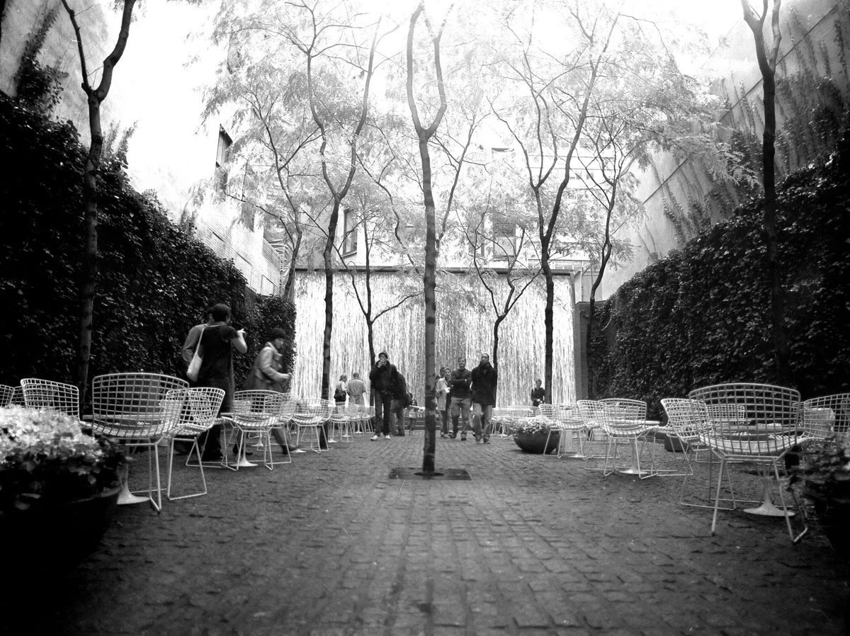 bw-urban-garden.jpg