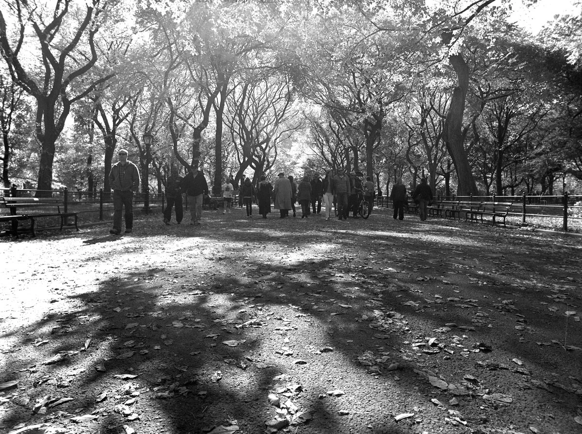 bw-central-park.jpg