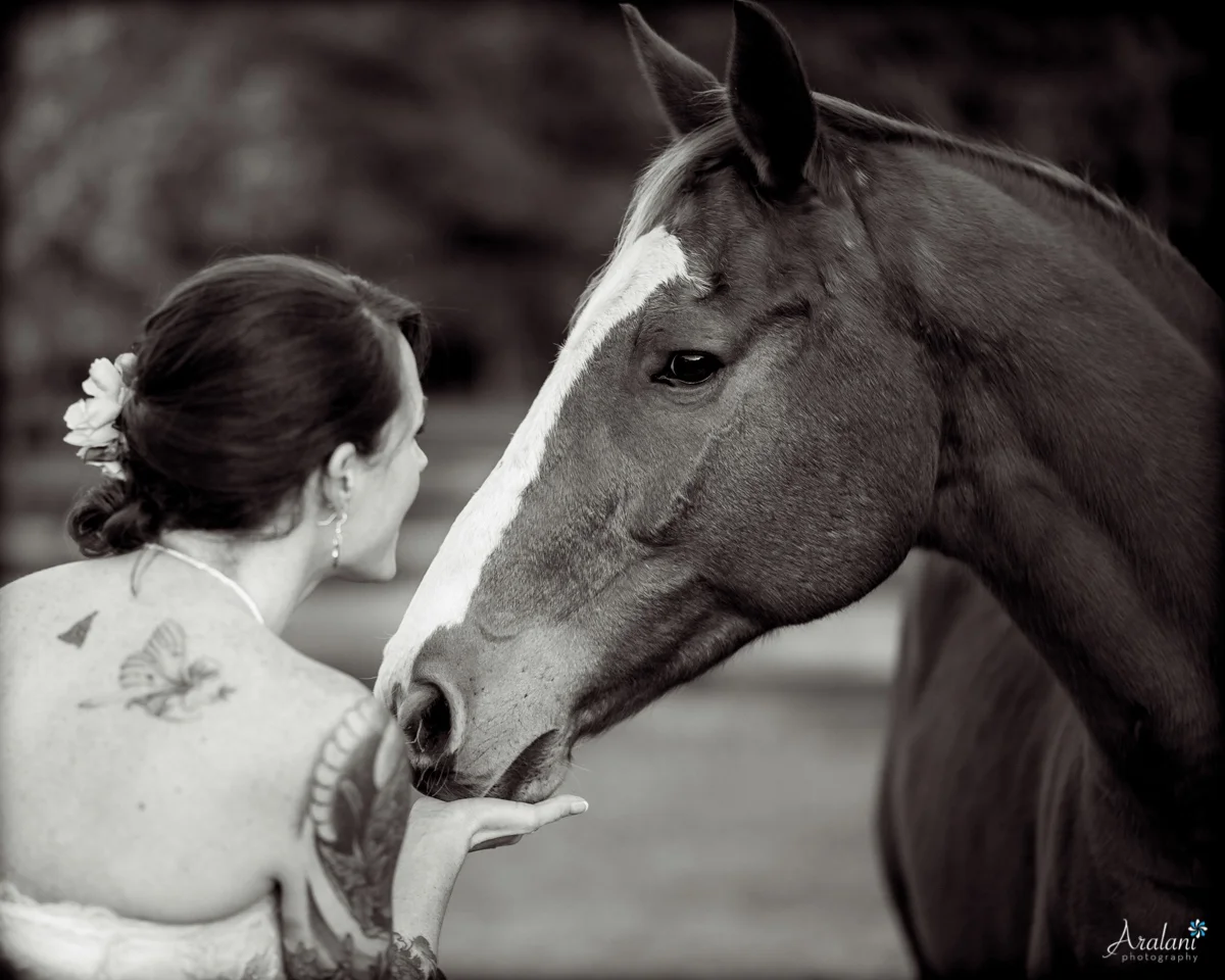 Pepper_Plantation_Wedding0044.jpg
