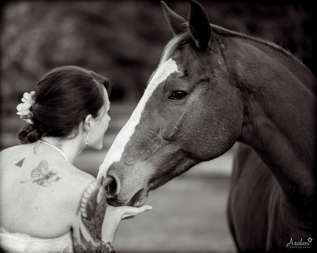 Pepper_Plantation_Wedding0044.jpg