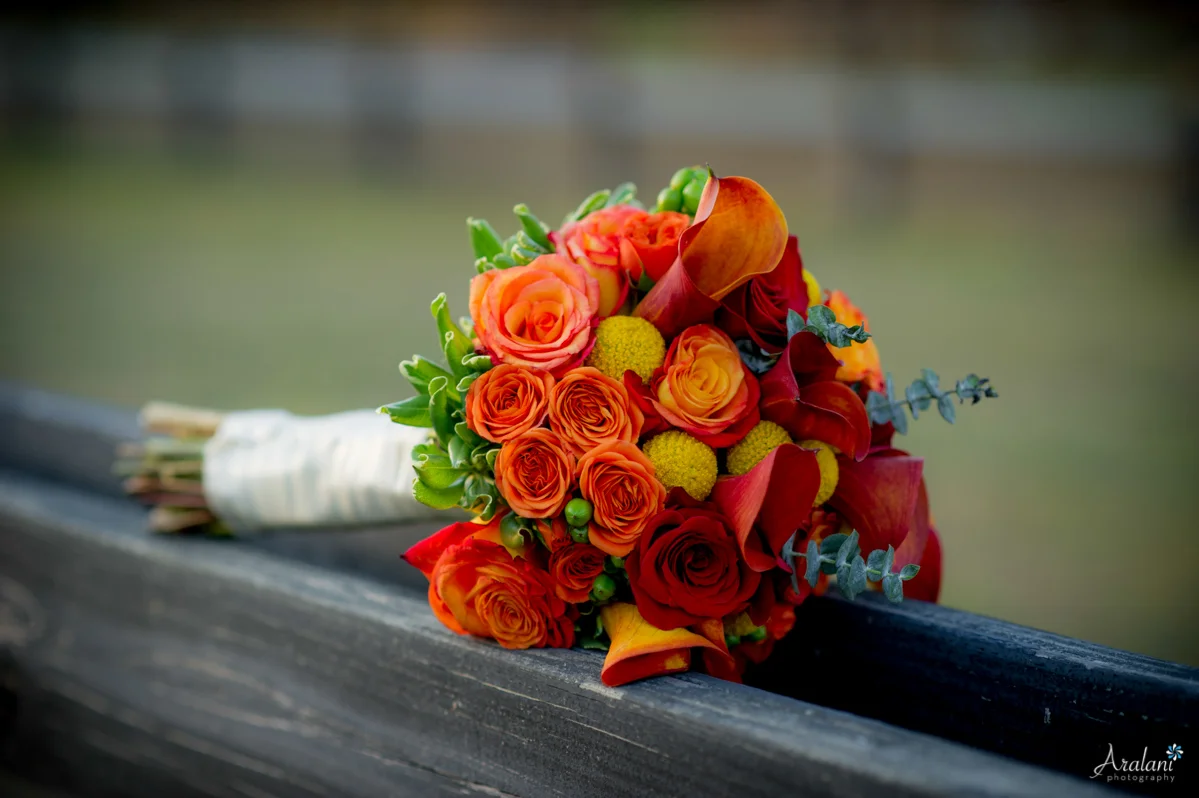Pepper_Plantation_Wedding0047.jpg