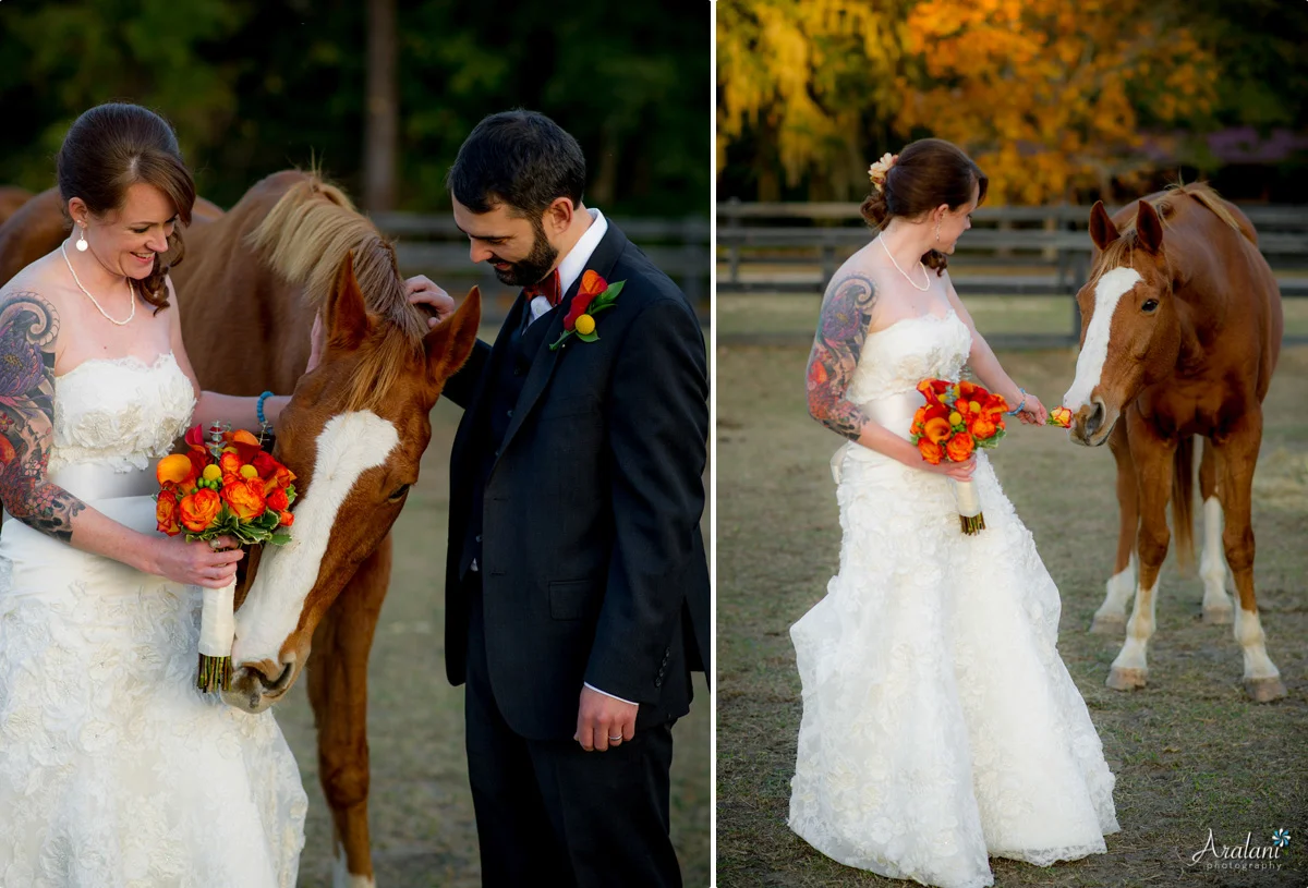 Pepper_Plantation_Wedding0046.jpg