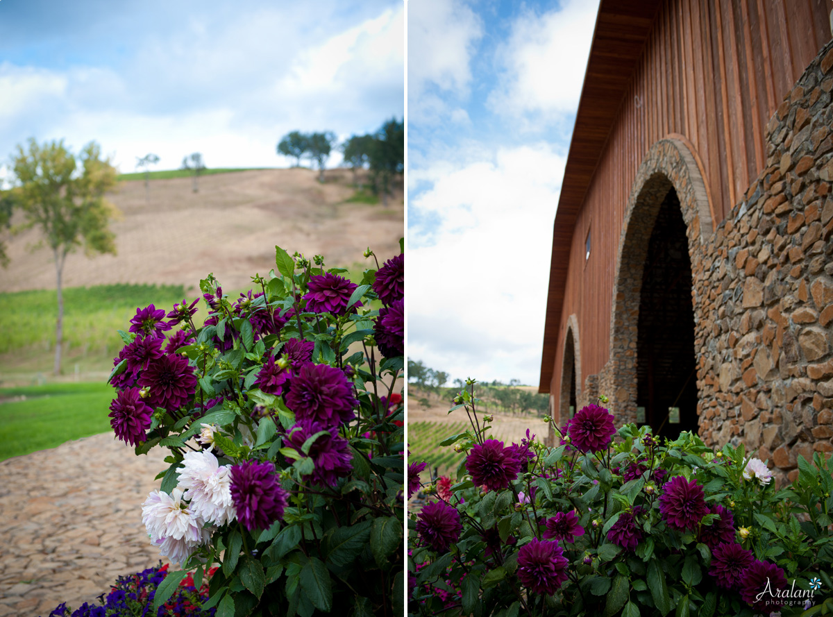 Maysara_Winery_Wedding0001.jpg