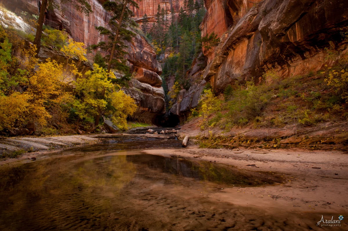 Subway_Zion_Hike006.jpg