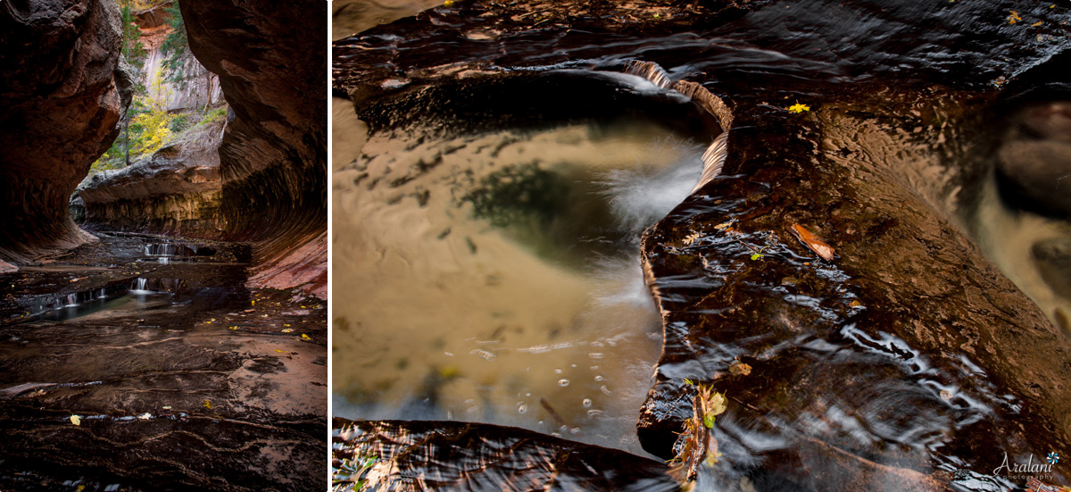 Subway_Zion_Hike009.jpg