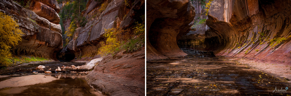 Subway_Zion_Hike007.jpg