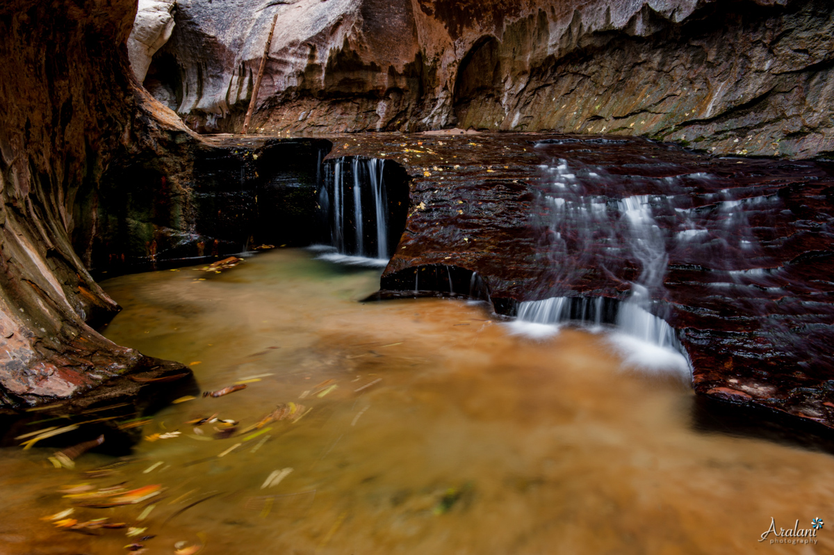 Subway_Zion_Hike011.jpg