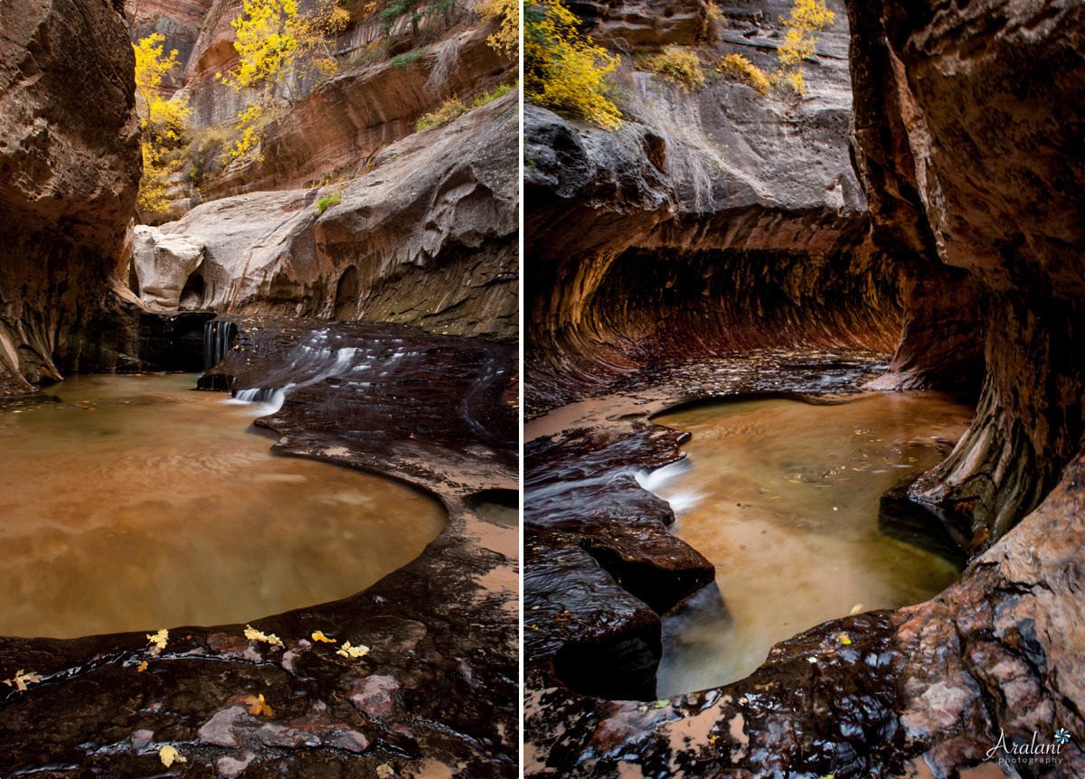 Subway_Zion_Hike013.jpg
