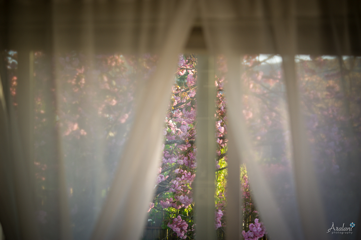 Spring_in_Portland020.jpg