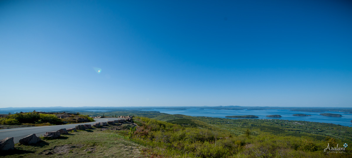 Along the road to Cadillac Mountain