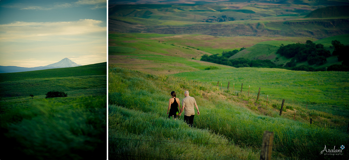 Columbia_River_Gorge_Engagement012.jpg