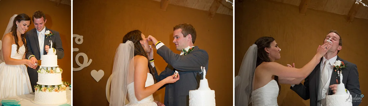 Oakview_Acres_Wedding_0079.jpg