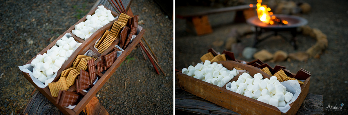 Mt_Hood_Bed_and_Breakfast_Wedding0059.jpg