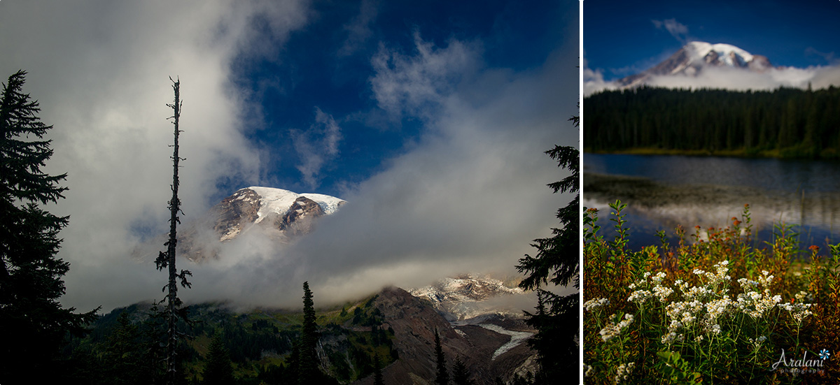 Mt_Rainier_TripReport007.jpg