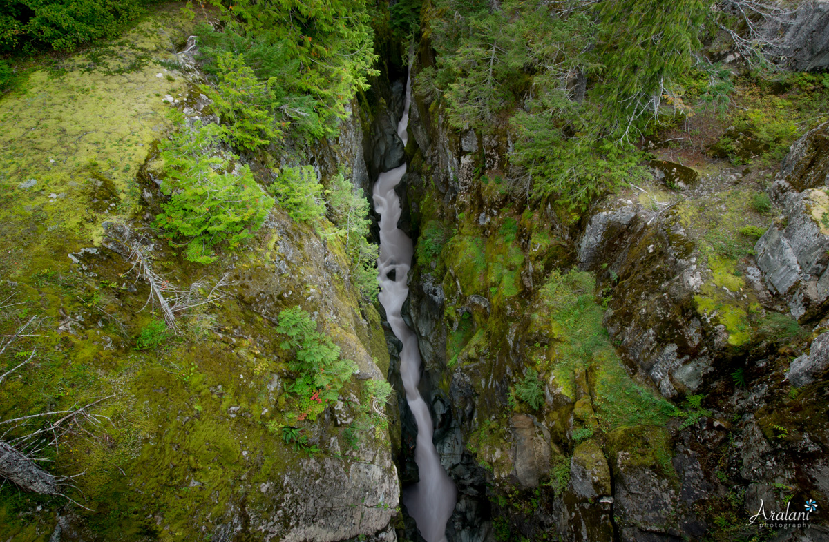 Mt_Rainier_TripReport006.jpg