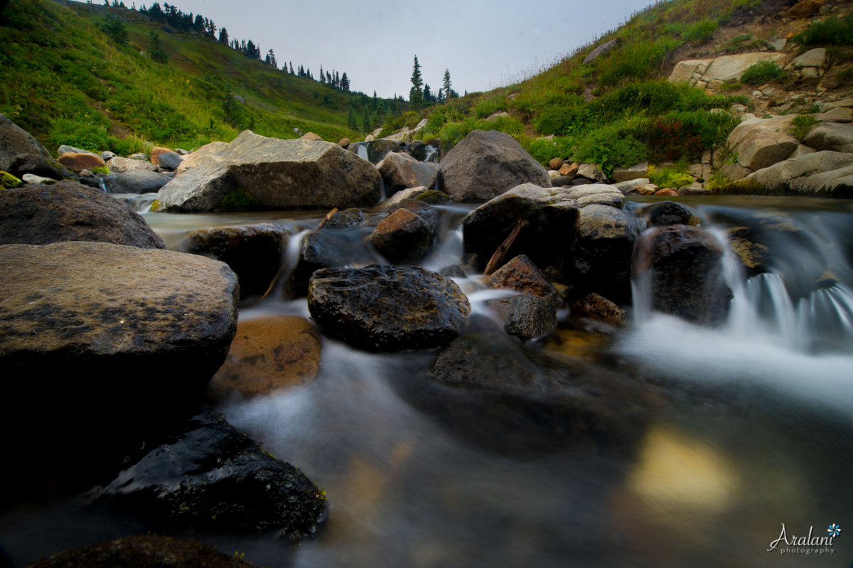 Mt_Rainier_TripReport013.jpg