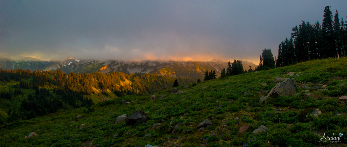 Mt_Rainier_TripReport014.jpg
