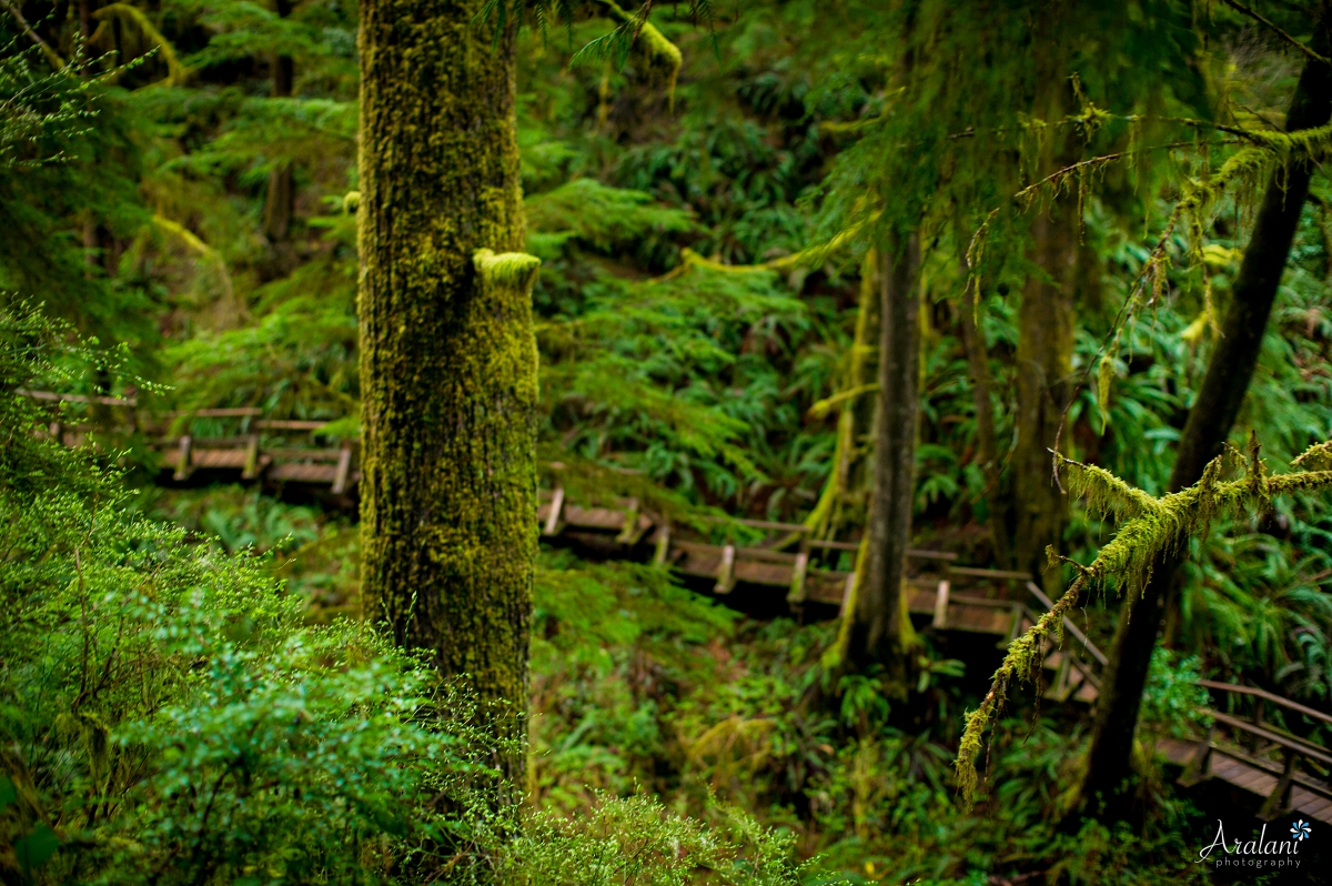 Ucluelet_Tofino_021.jpg