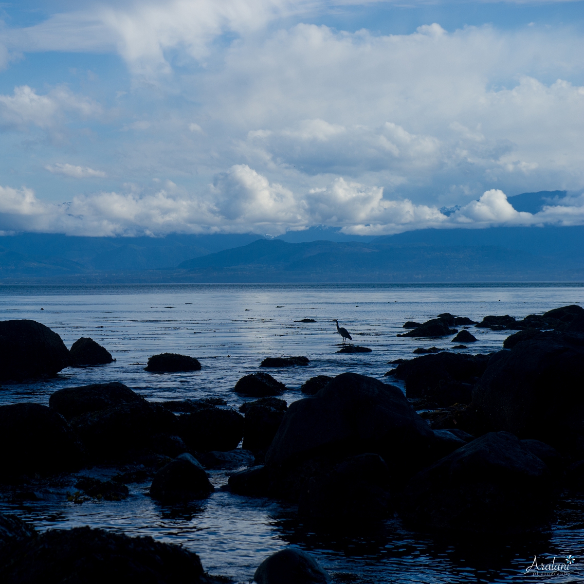 Ucluelet_Tofino_031.jpg