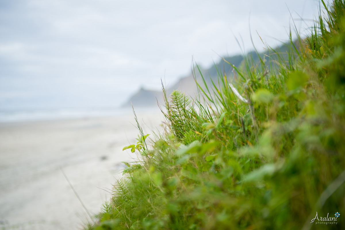 Oregon_Coast_Elopement_0027.jpg