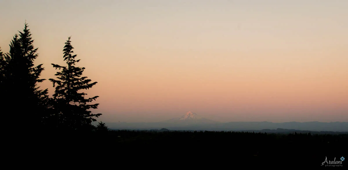 Oregon_Golf_Club_Wedding_Blog0051.jpg