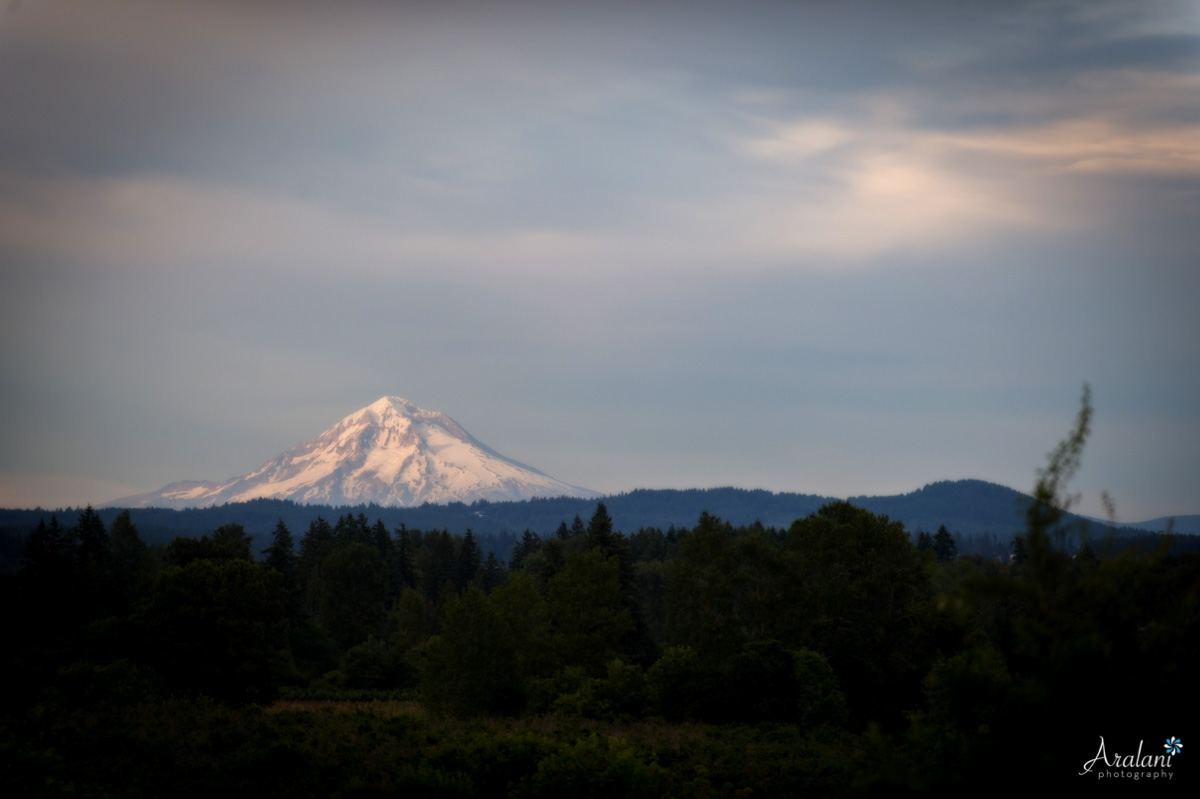 Oakview_Acres_Wedding_ER0002.jpg