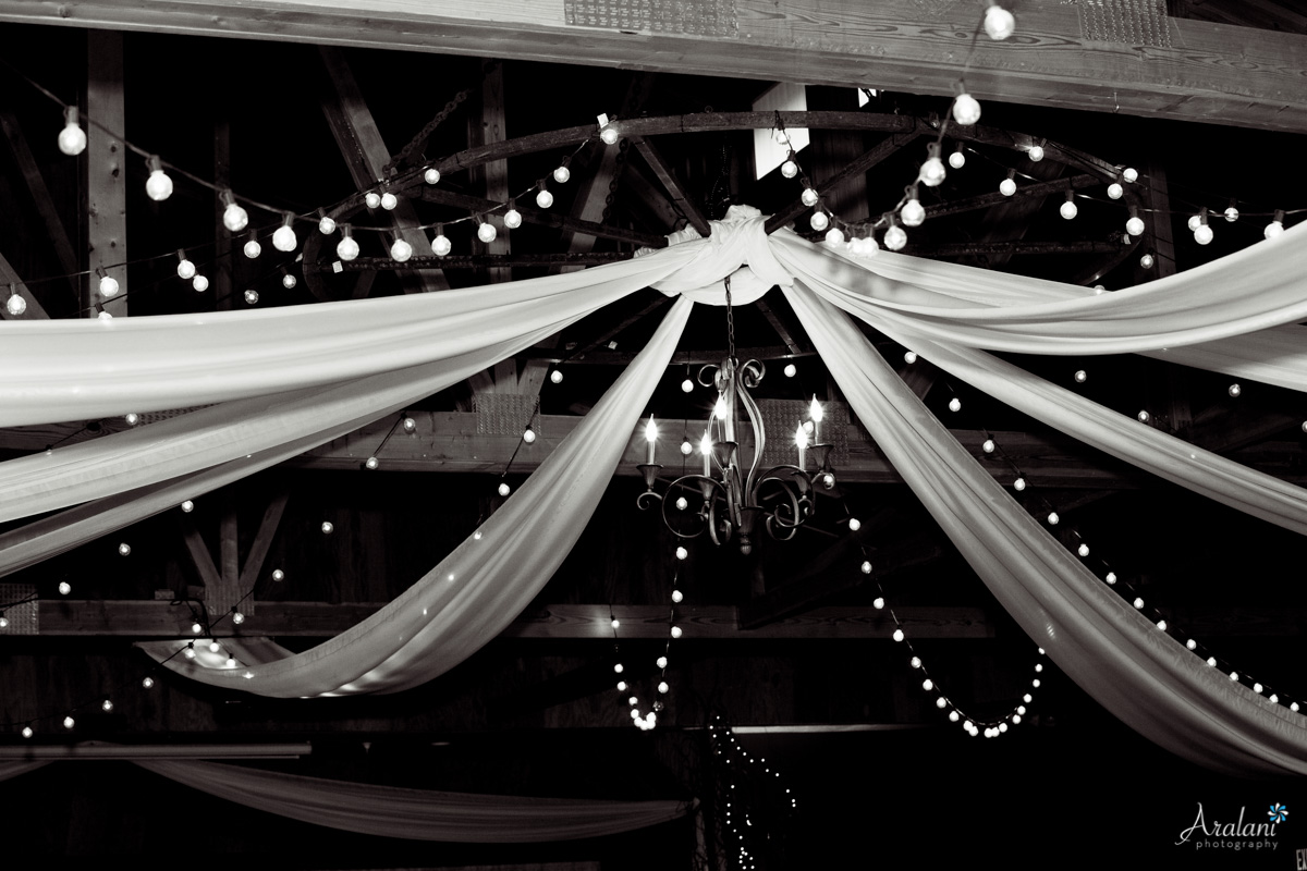 Oakview_Acres_Wedding_ER0046.jpg