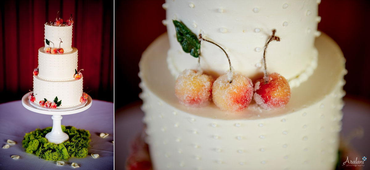 Alloro_Vinyard_Wedding0008.jpg