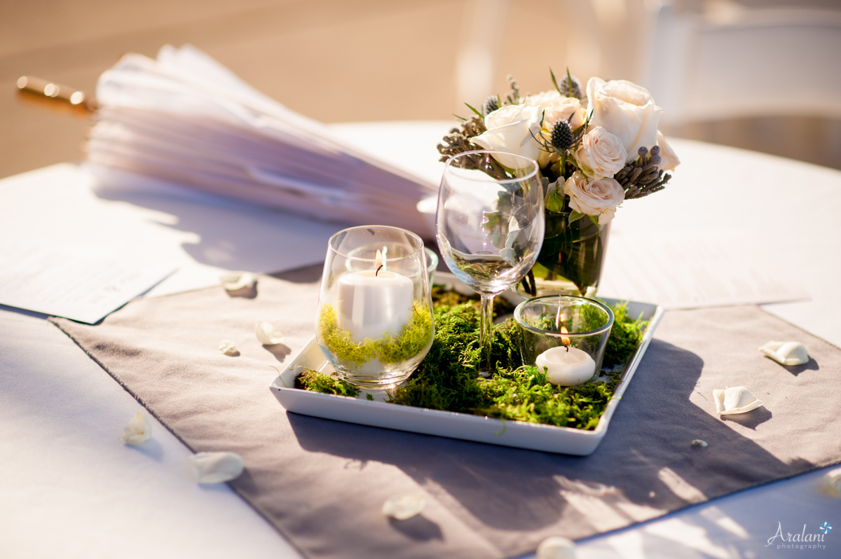 Alloro_Vinyard_Wedding0007.jpg