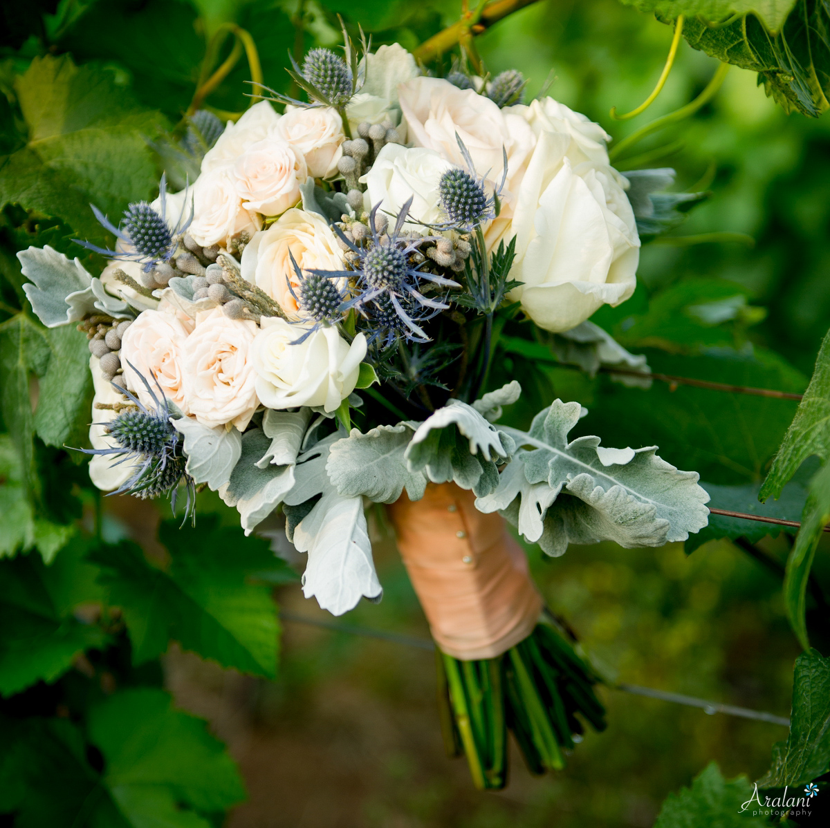 Alloro_Vinyard_Wedding0026.jpg