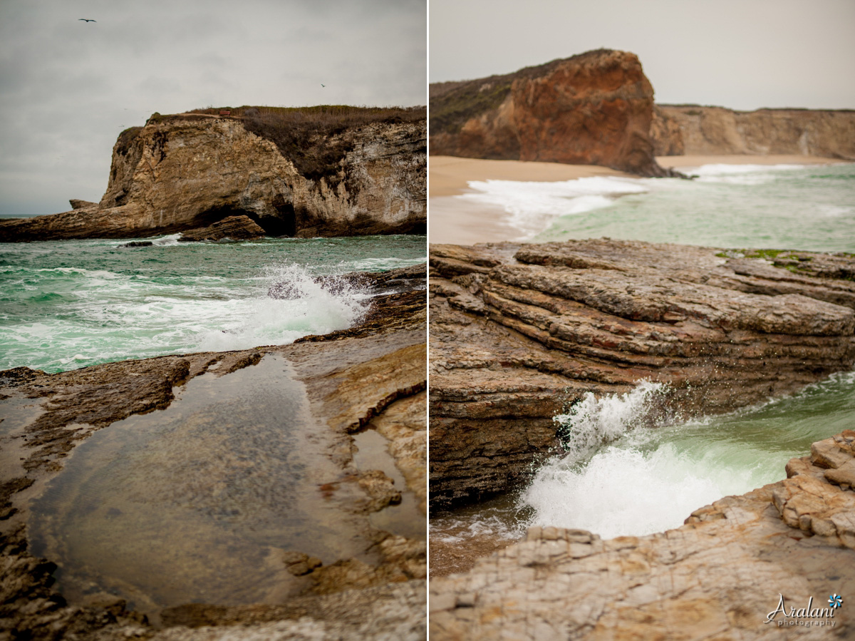 Coastal_Dairies_State_Park0011.jpg