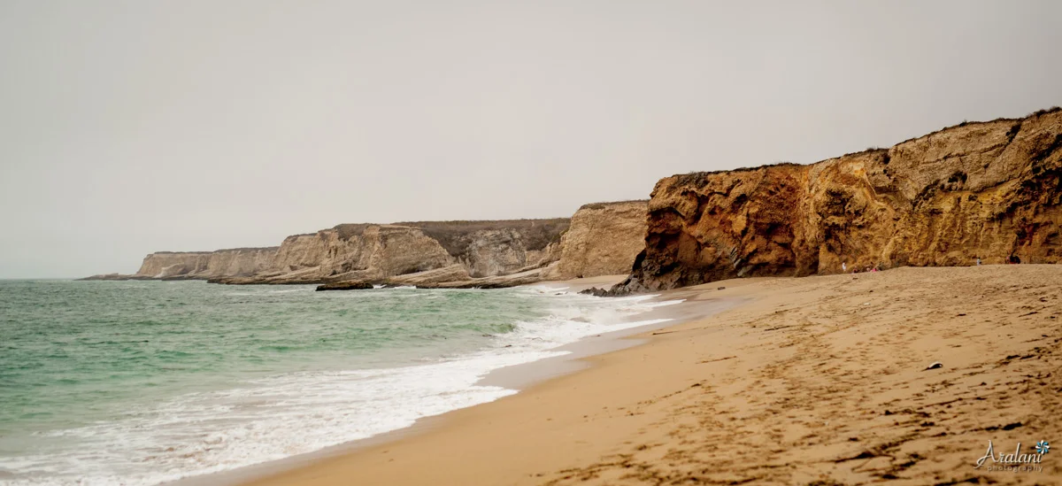 Coastal_Dairies_State_Park0014.jpg
