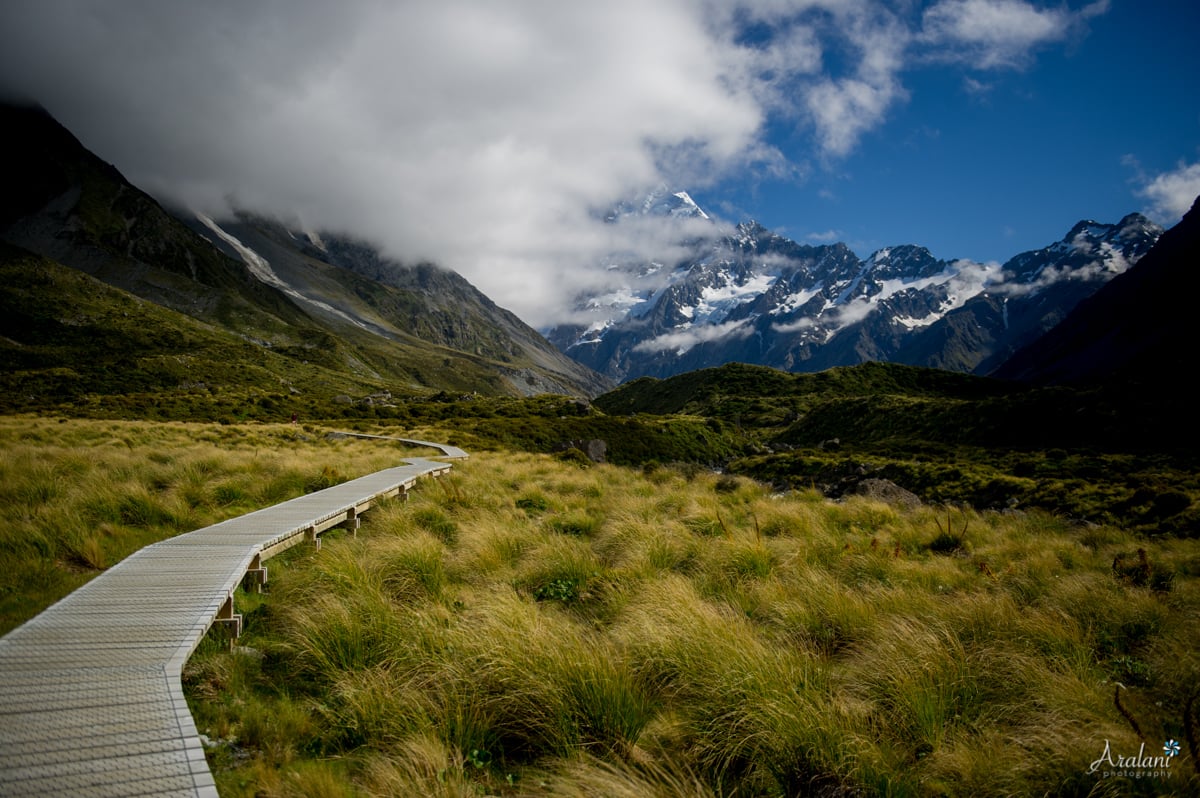 New_Zealand_Roadtrip_0022.jpg