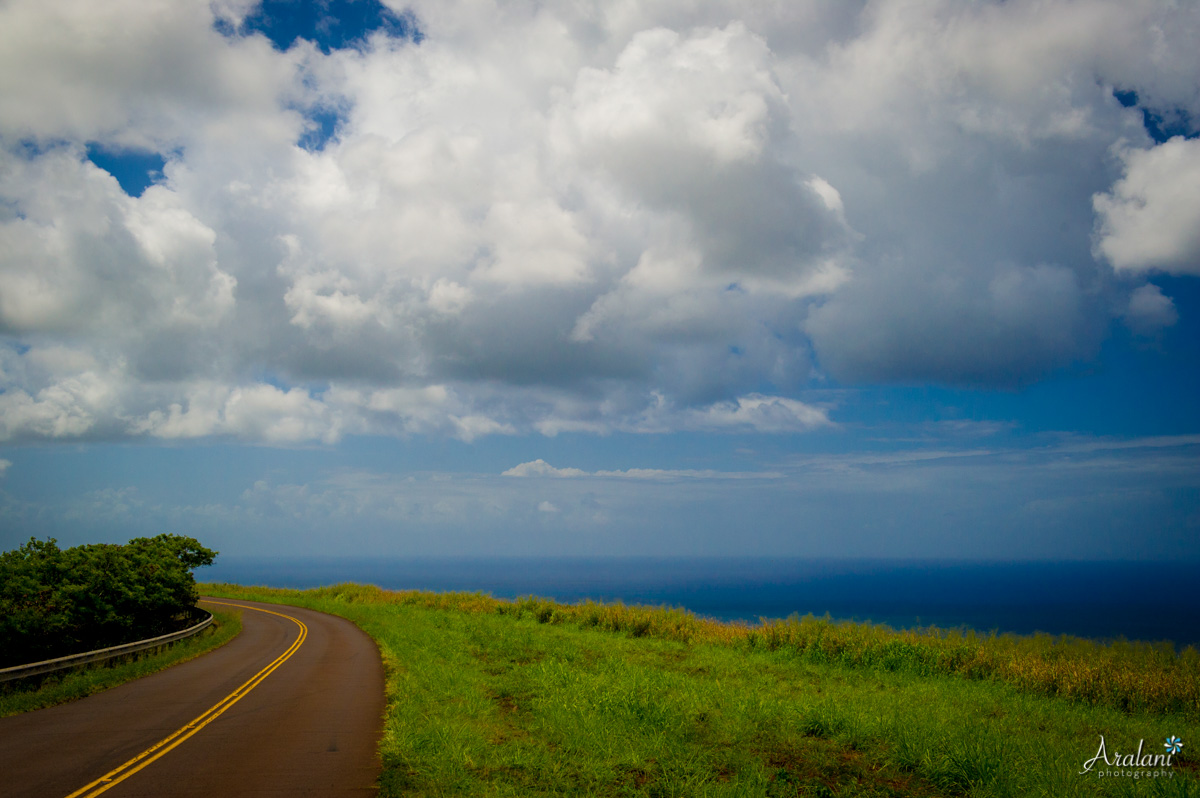 Kauai_Trip_Report0022.jpg