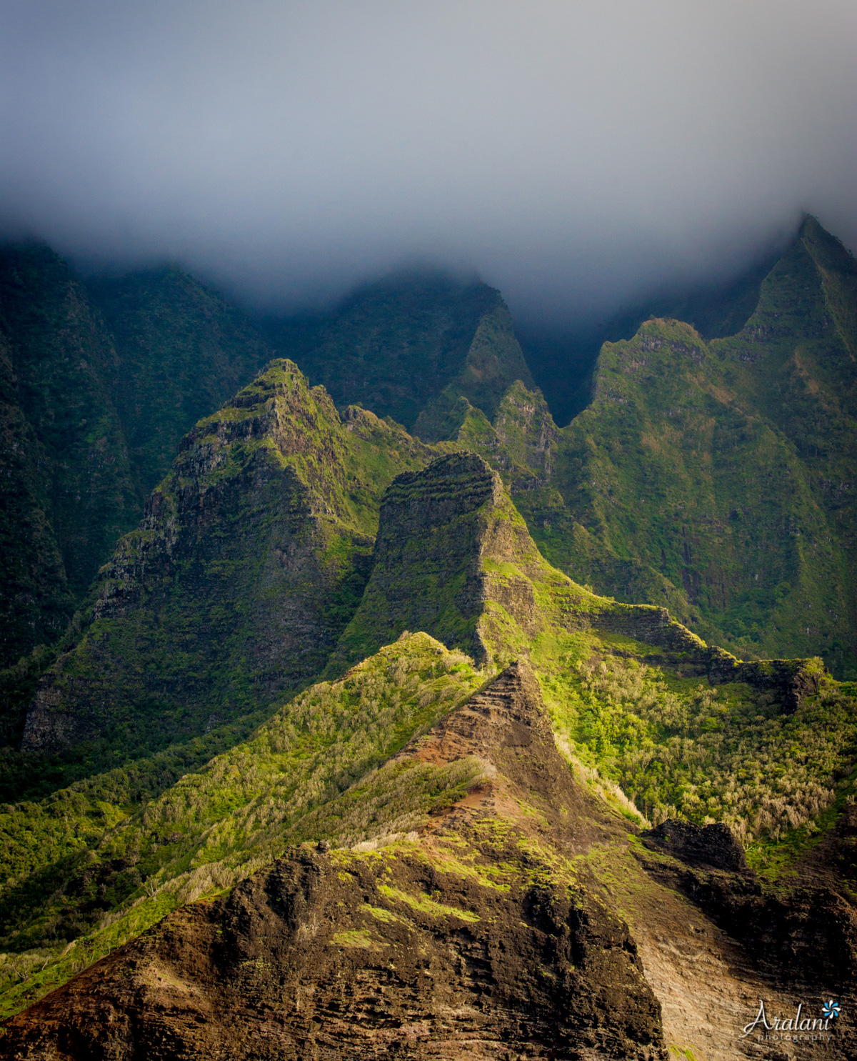 Kauai_Trip_Report0035.jpg