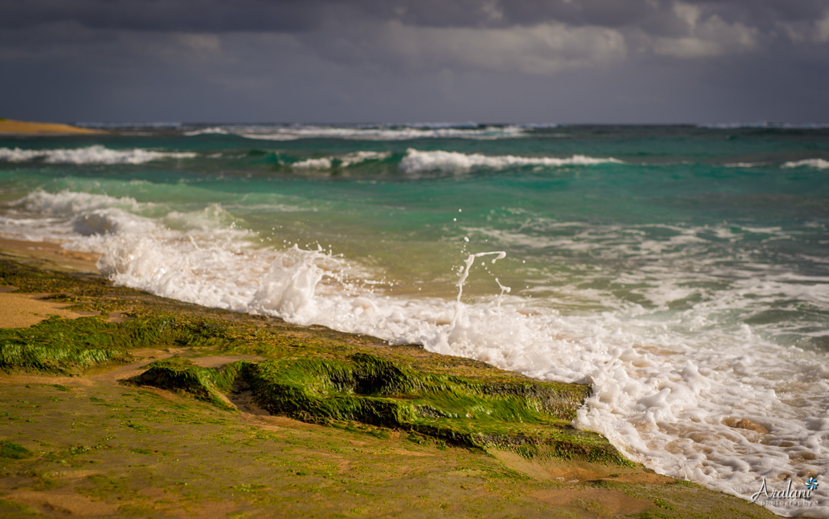 Kauai_Trip_Report0056.jpg