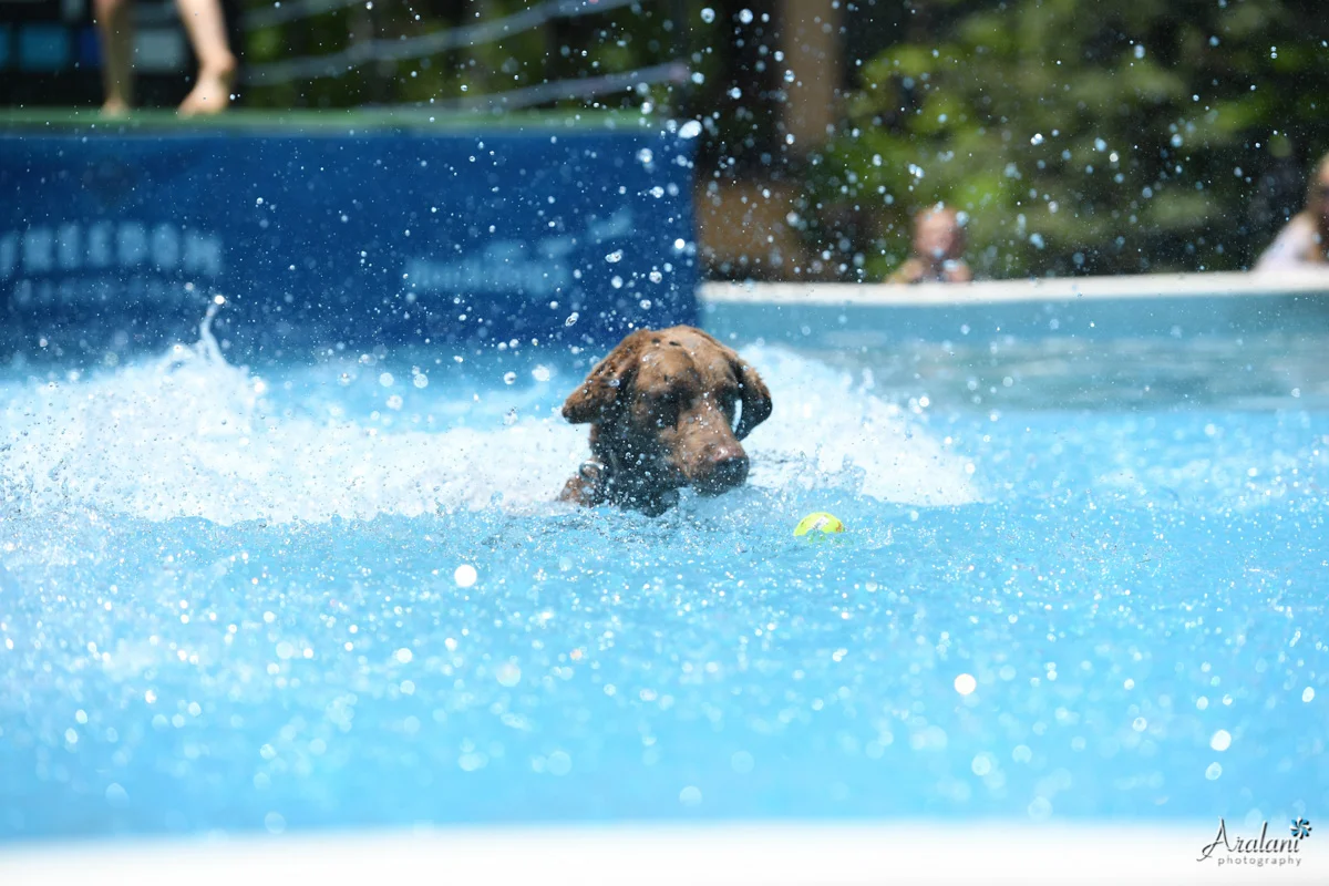 GoPro_MountainGames_DockDogs008.jpg