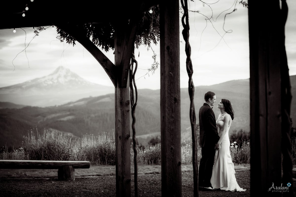 Gorge_Crest_Vineyard_Wedding040.jpg