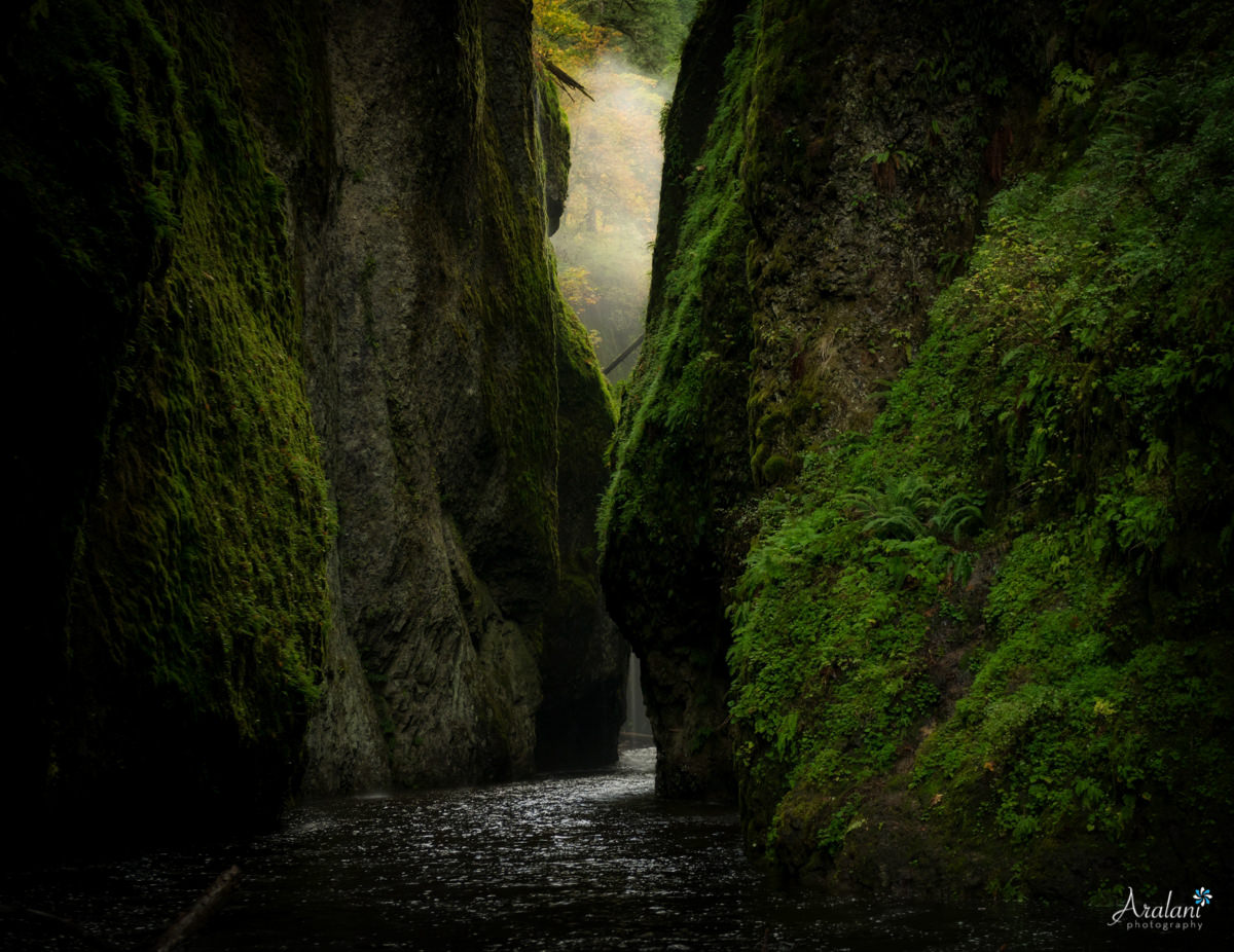 Oneonta_Gorge_Elopement007.jpg