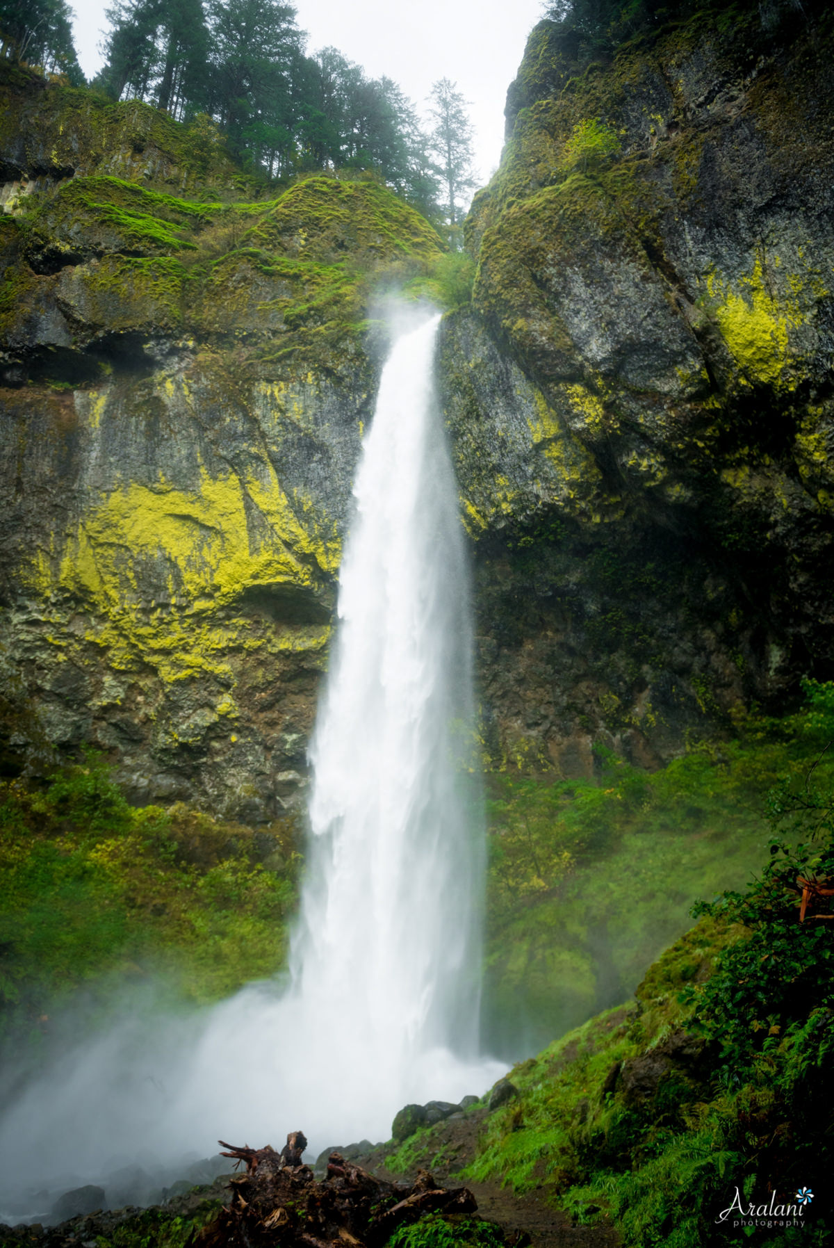 Oneonta_Gorge_Elopement020.jpg