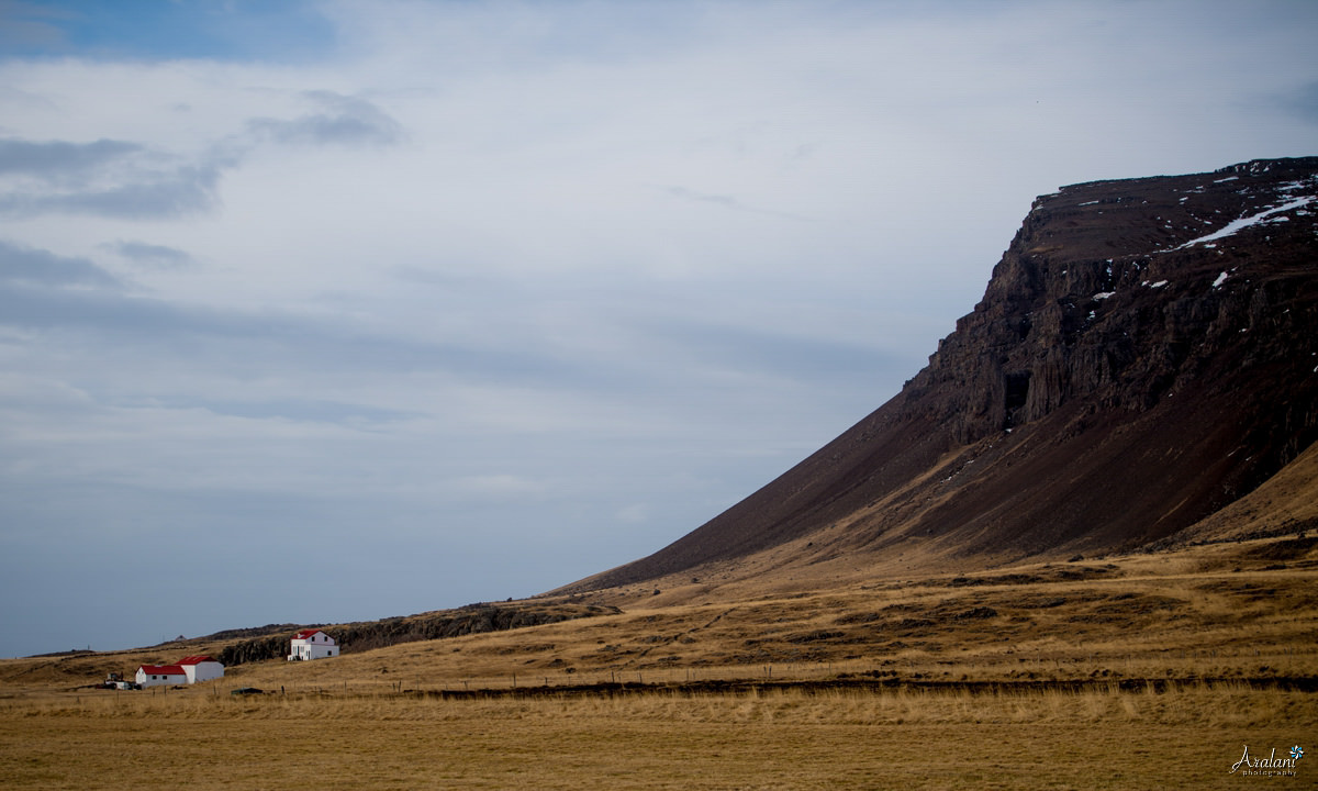 Iceland_Aralani0033.jpg